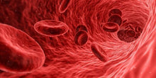 画像をギャラリービューアに読み込む, 【日本の伝統食・納豆から生まれた健康補助食品】NKCPサプリメント