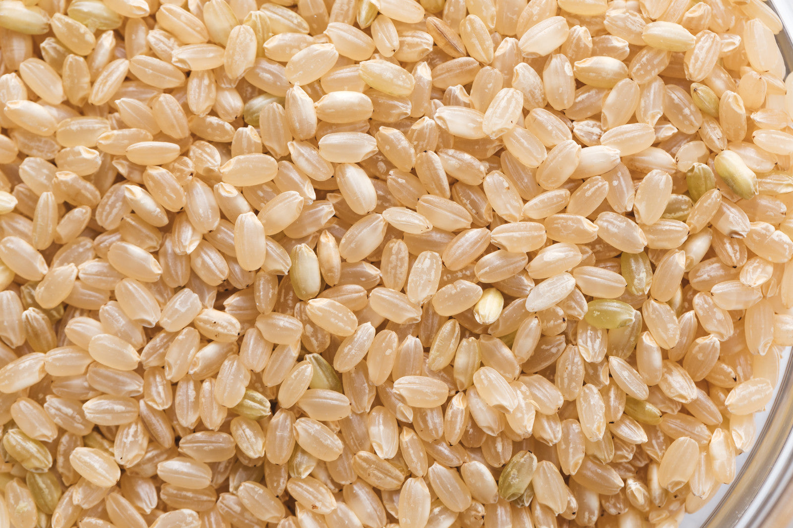 完全無農薬無化学肥料玄米（熊本県阿蘇産）5キロ